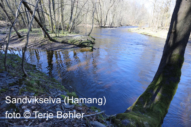 Artikkelbilde til artikkelen Årsmøte 2026